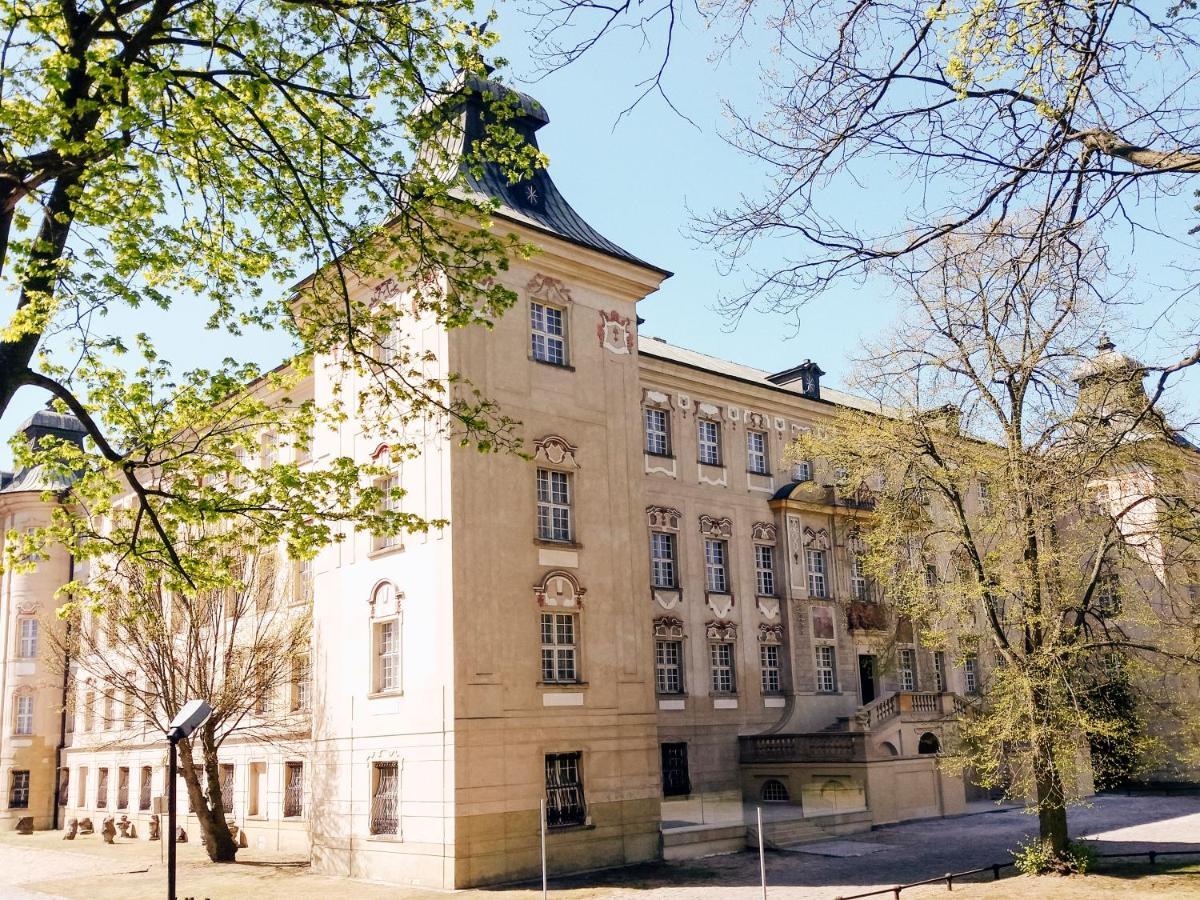 Hotel Zamek Krolewski W Rydzynie 리드지나 외부 사진