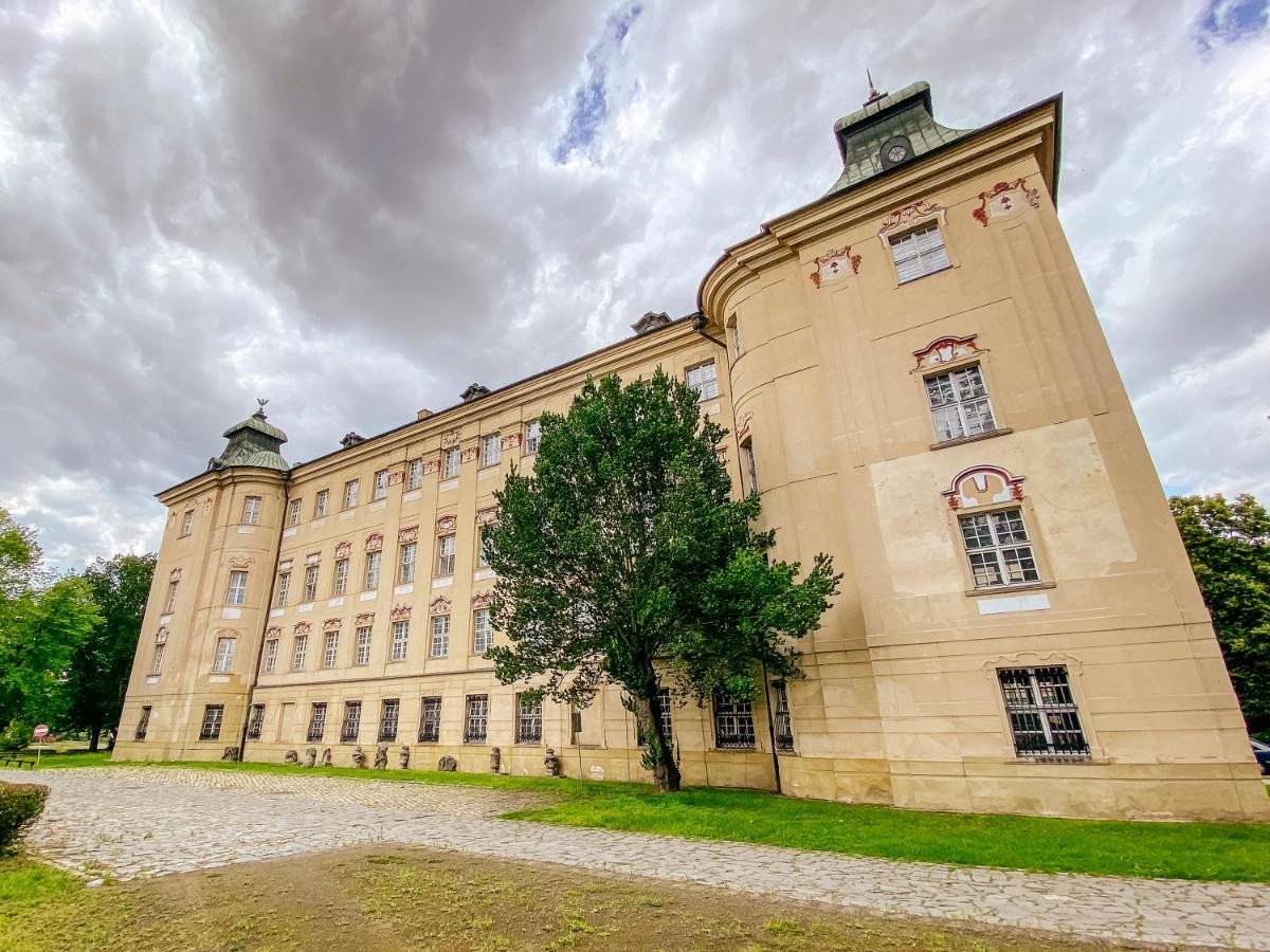 Hotel Zamek Krolewski W Rydzynie 리드지나 외부 사진