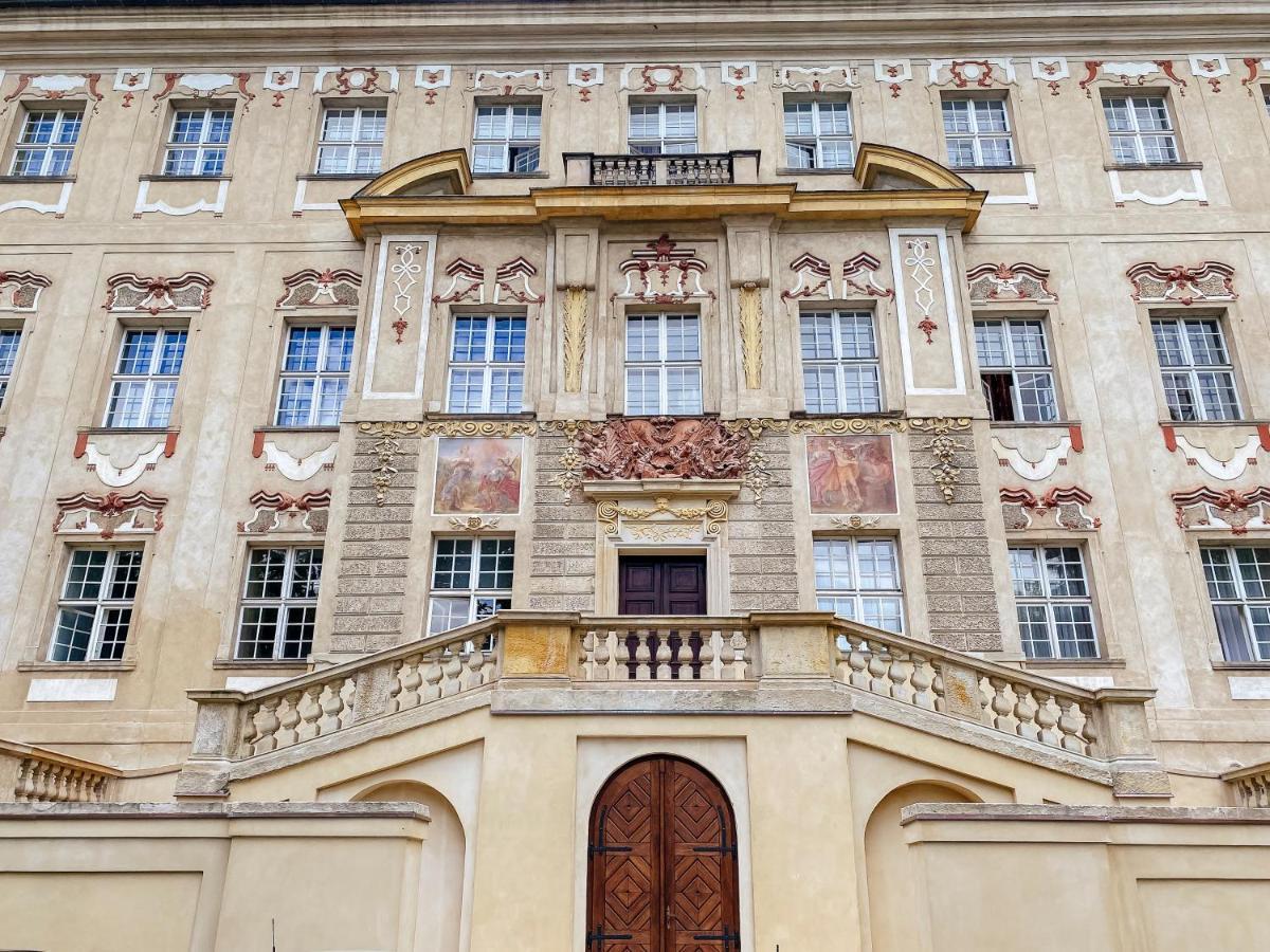 Hotel Zamek Krolewski W Rydzynie 리드지나 외부 사진