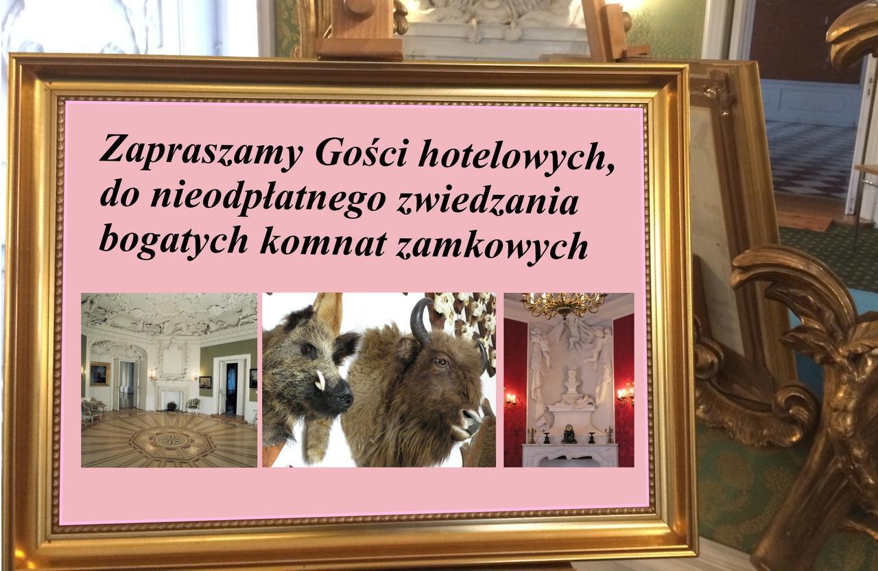 Hotel Zamek Krolewski W Rydzynie 리드지나 외부 사진